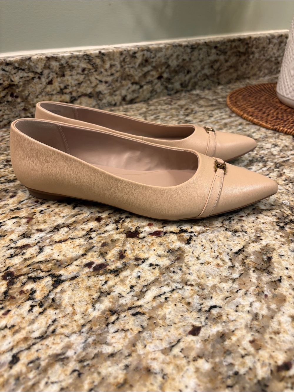 Giani Bernini Pointed Toe Ballet Flats in Nude Beige with Gold Accent